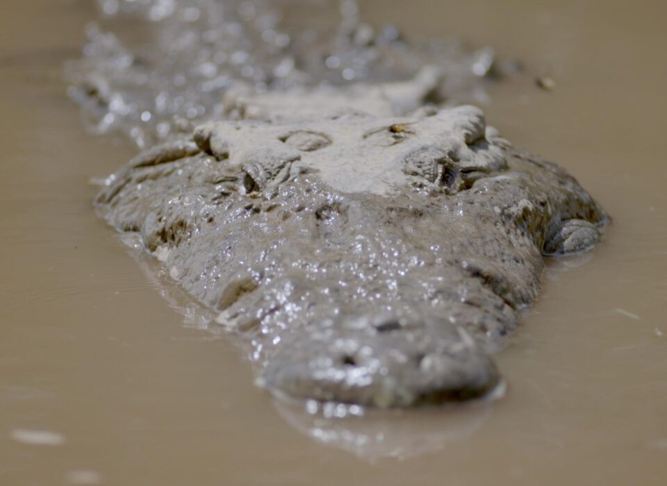 WhatsApp Image 2025 08 07 at 19.19.58 scaled